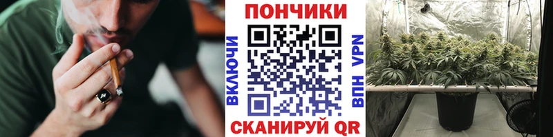 Купить наркоту Бийск ГАШ  АМФЕТАМИН  Галлюциногенные грибы  МЕФ  Конопля  блэк спрут маркетплейс  Кокаин 