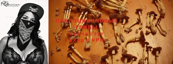 марки nbome Надым