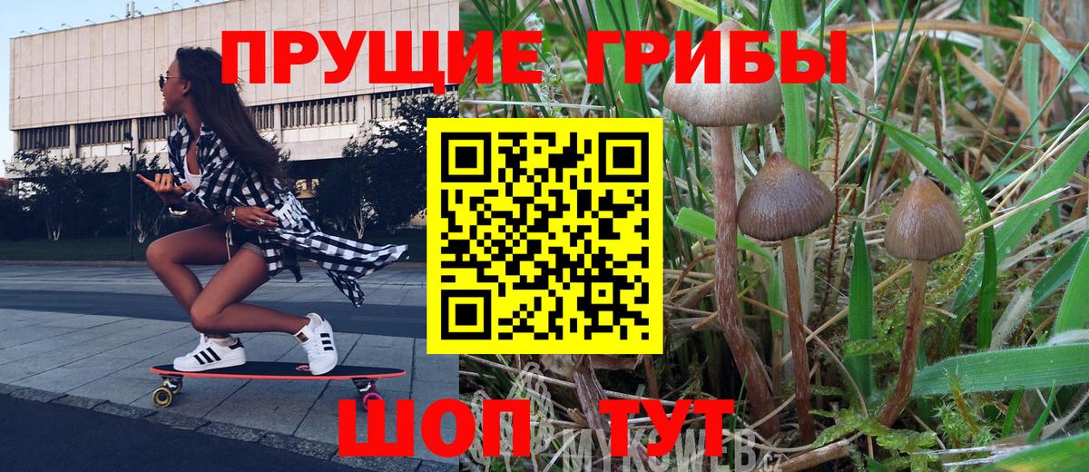 Галлюциногенные грибы MAGIC MUSHROOMS  продажа наркотиков  Псилоцибиновые грибы Cubensis  Бийск  Вход с VPN 