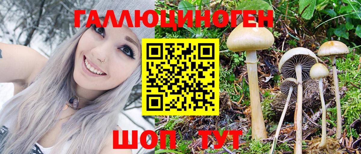 Галлюциногенные грибы GOLDEN TEACHER  Бийск  наркота  Галлюциногенные грибы Psilocybine cubensis 