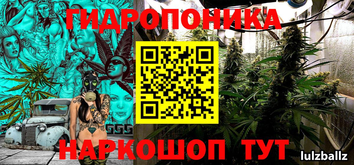 Канабис Amnesia  Бийск  Бошки Шишки тримм  Шишки марихуана планчик 